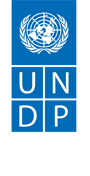 UNITED NATIONS DEVELOPMENT PROGRAMME (UNDP)